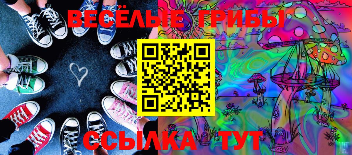 Псилоцибиновые грибы Magic Shrooms Звенигород