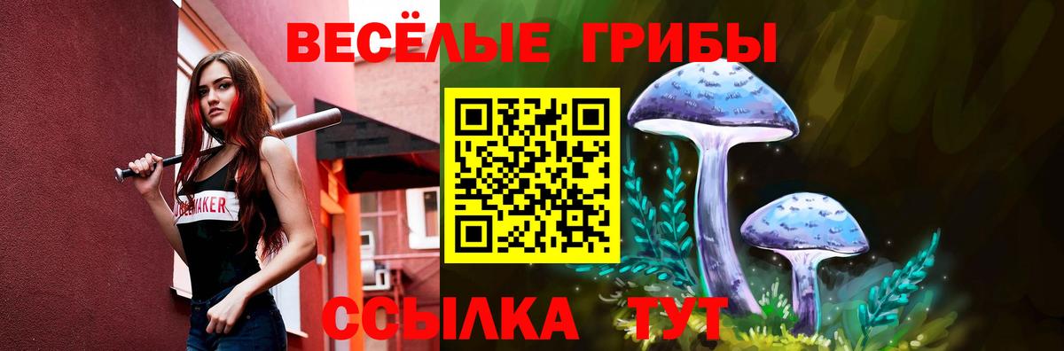Звенигород  Галлюциногенные грибы мухоморы  Вход с VPN  Псилоцибиновые грибы Psilocybe 