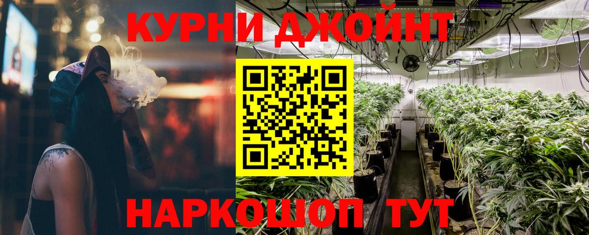 Каннабис Bruce Banner  Бошки Шишки ГИДРОПОН  Звенигород  Вход с VPN 